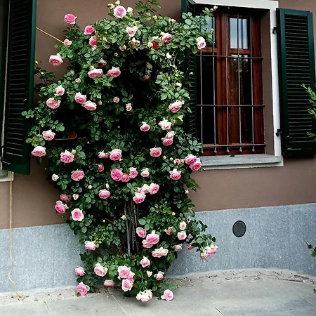 Apartment Scapa Da Ca'