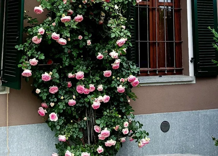 Apartman Scapa Da Ca'